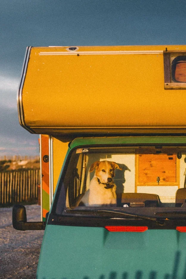Un chien assis à l'intérieur d'un véhicule coloré de style camping-car ou van, avec un ciel nuageux en arrière-plan.
