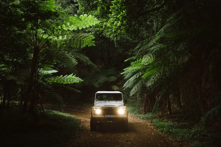 Un véhicule tout-terrain blanc traverse un chemin forestier entouré de végétation dense.