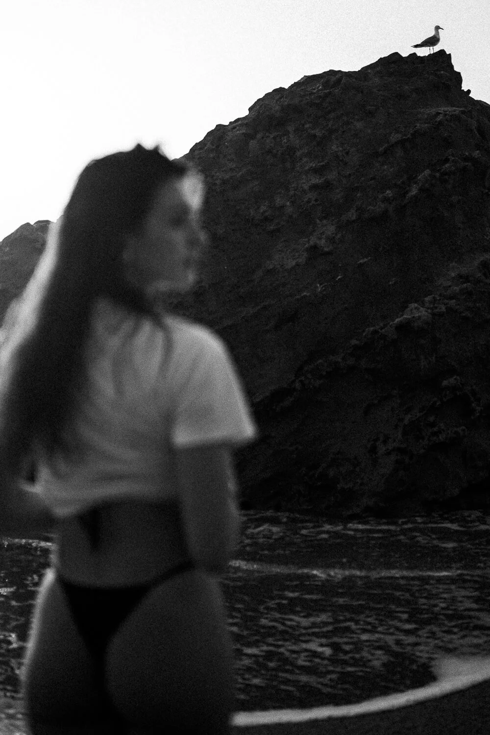 A woman in a swimsuit standing near the water at sunset, with a rocky hill and seagull in the background.