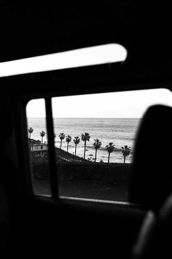 View of a seaside with palm trees through a car window