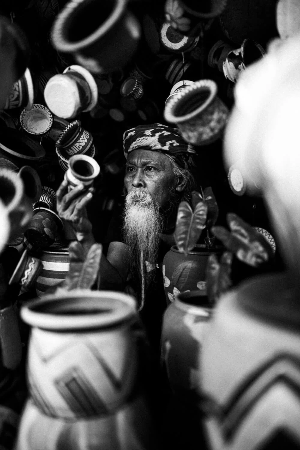 Un homme âgé avec une longue barbe, portant un bandana, regarde autour de lui parmi des pots en céramique et des feuilles d'une plante, dans une scène en noir et blanc.