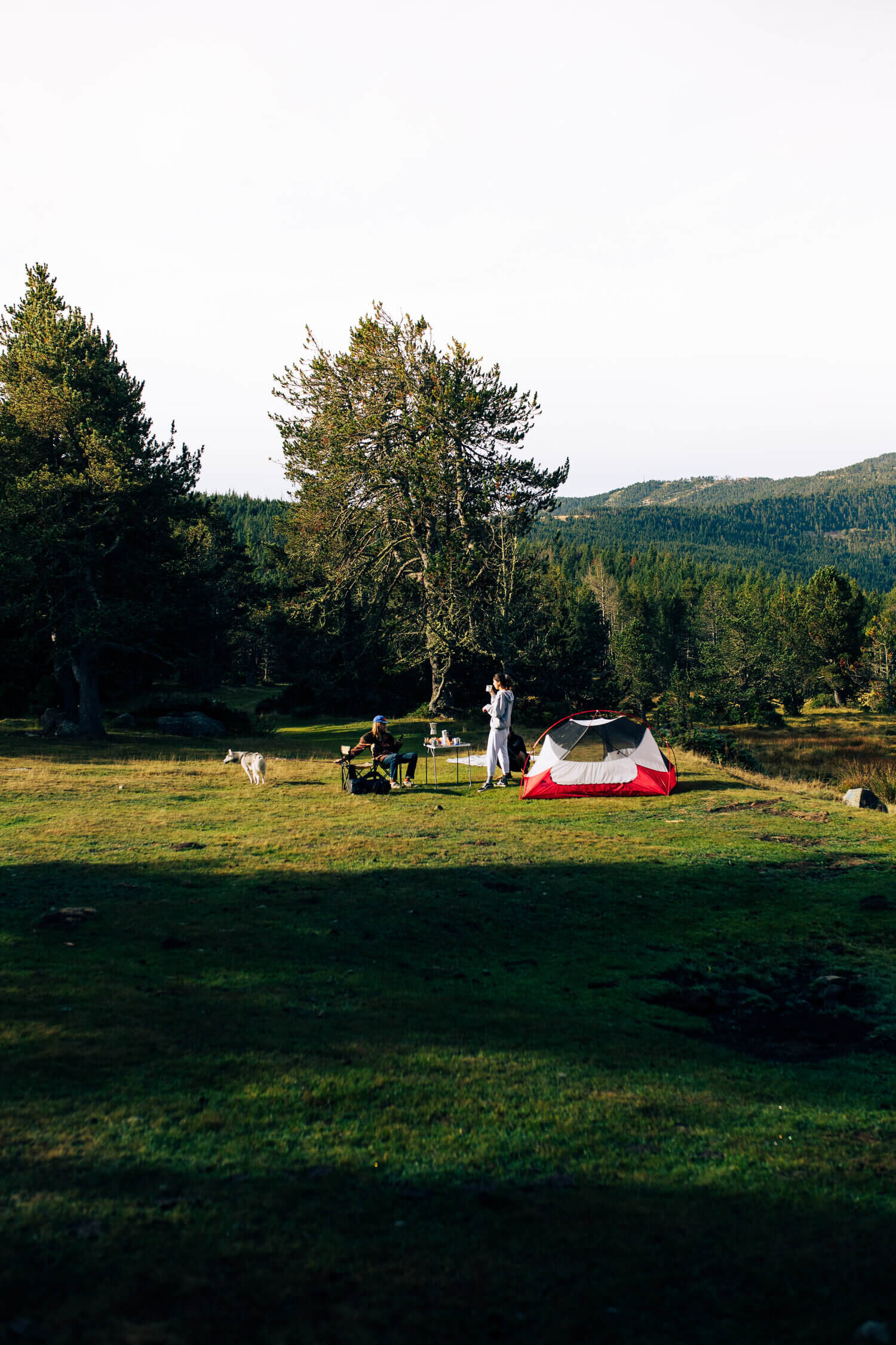 Scène de camping dans une clairière avec des arbres. Une tente rouge et blanche est installée à droite, avec deux personnes assises devant une table de camping. Un chien blanc se tient à côté. Des arbres et des montagnes en arrière-plan sous un ciel