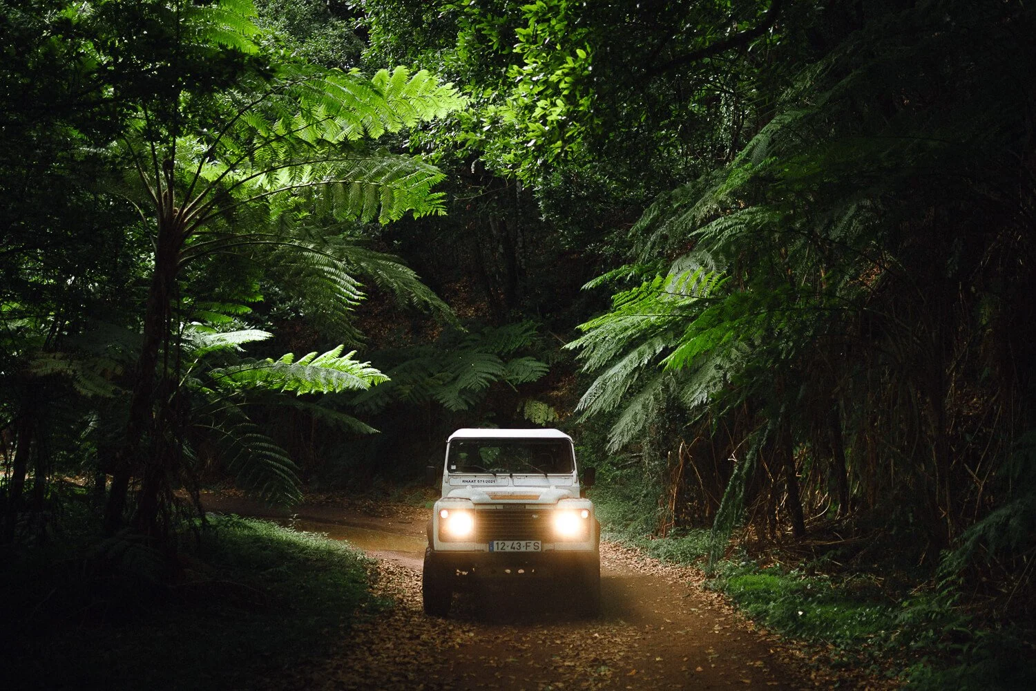 A white off-road vehicle with its headlights on driving on a dirt path surrounded by dense green jungle foliage at night.