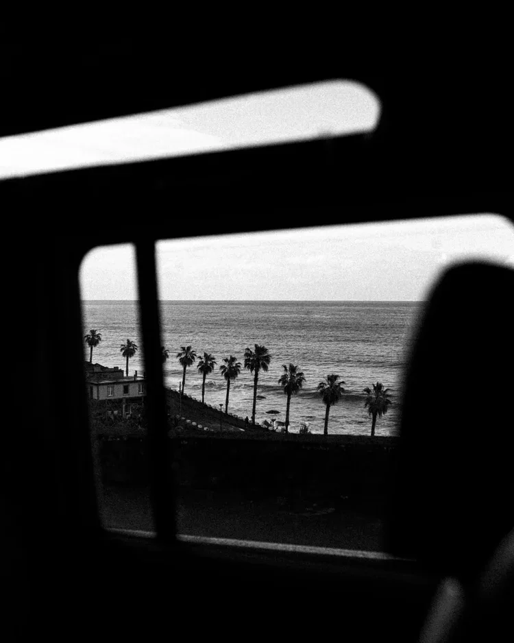 Vue de l'océan avec des palmiers sur la plage, vue depuis une fenêtre ou un cadre.