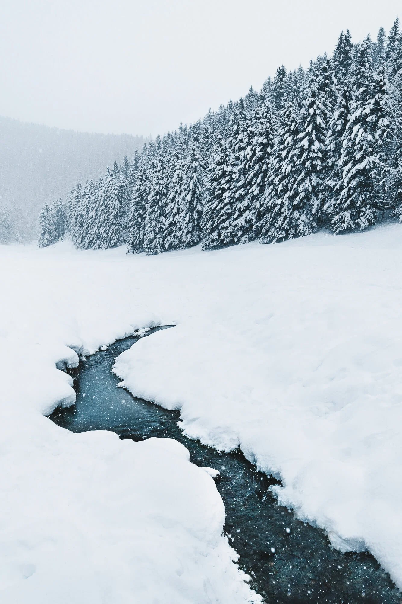 Snow-covered landscape with a small stream and dense evergreen trees in the background during snowfall.
