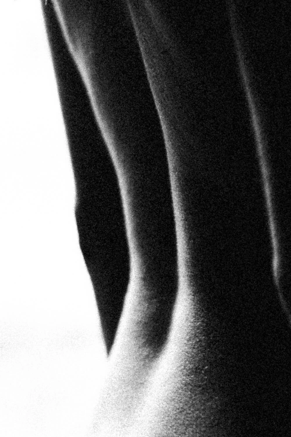 Close-up black and white abstract image showing curved shapes and shadows.