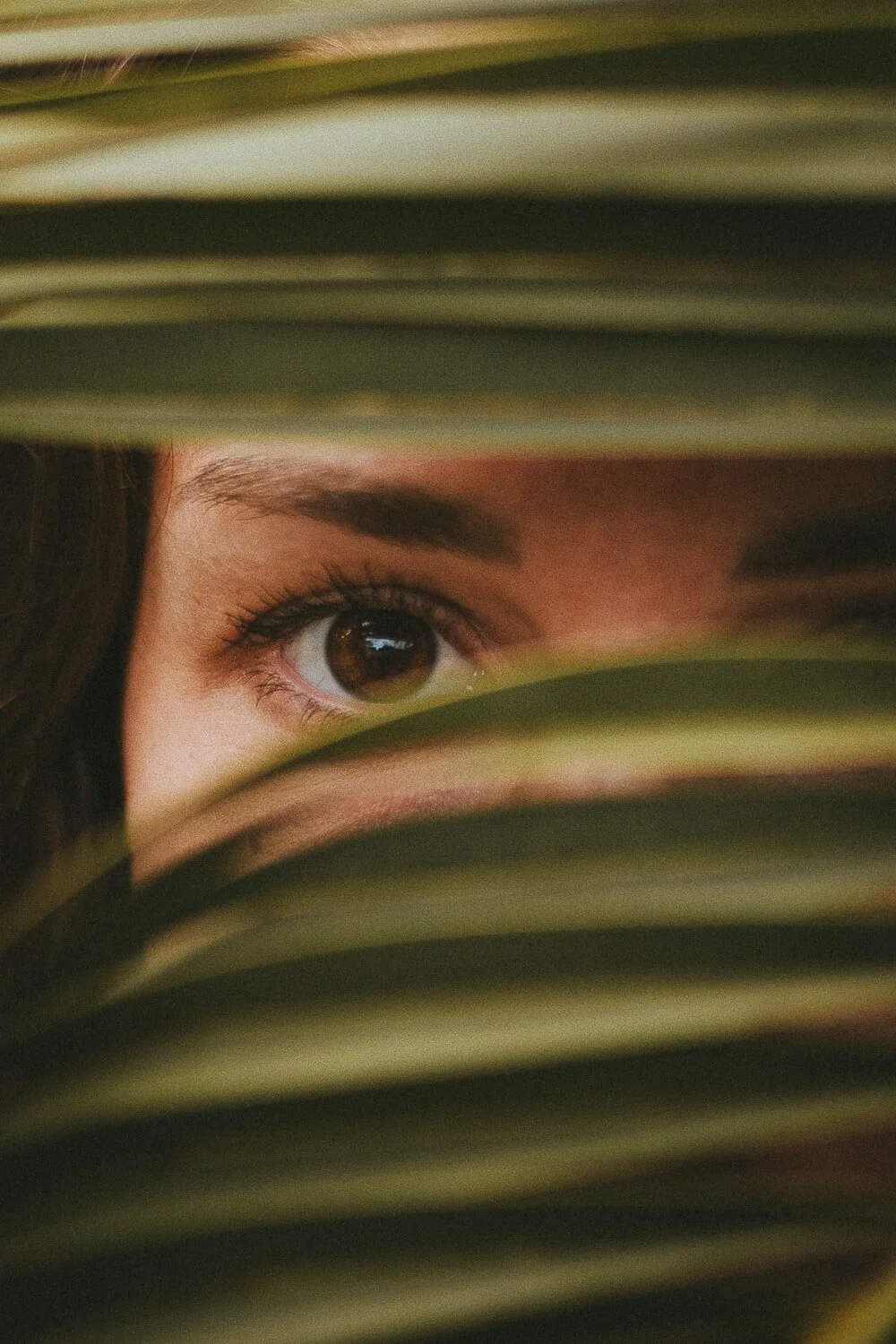 Close-up of a woman’s eye peeking through green palm leaves.