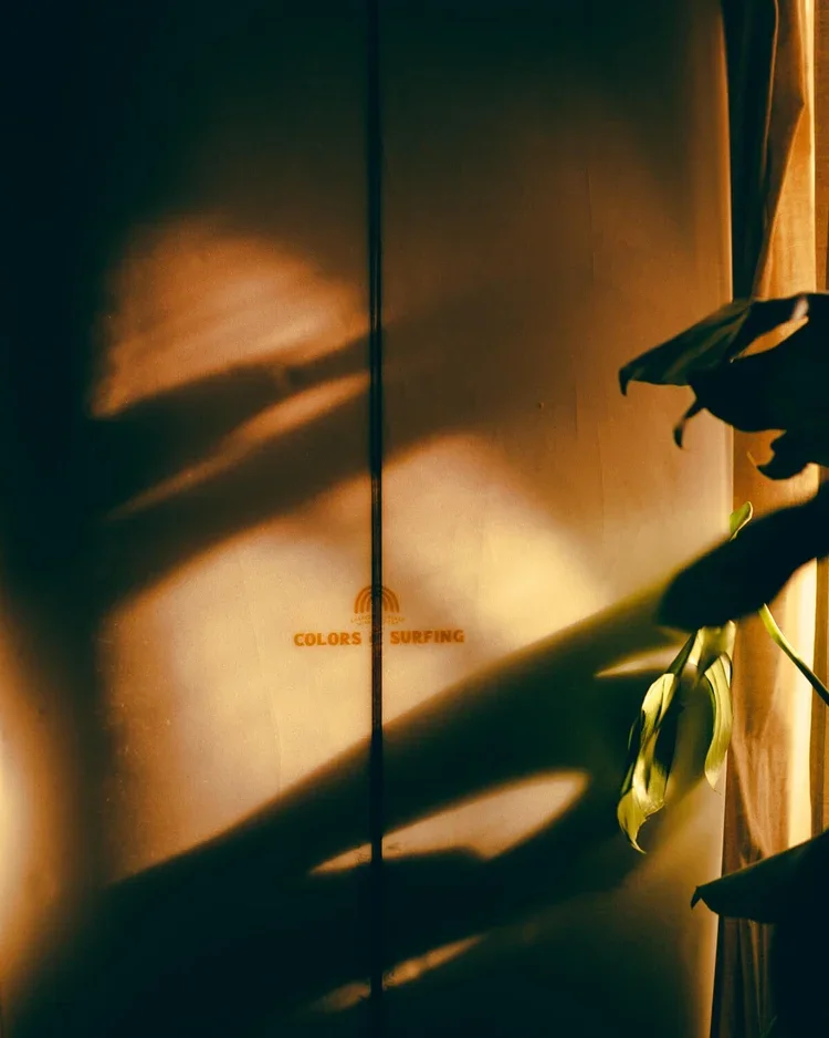 Une surface lisse avec des ombres et reflets de feuilles ou branches, portant le texte orange 'COLORS SURFING' et un symbole irlandais.