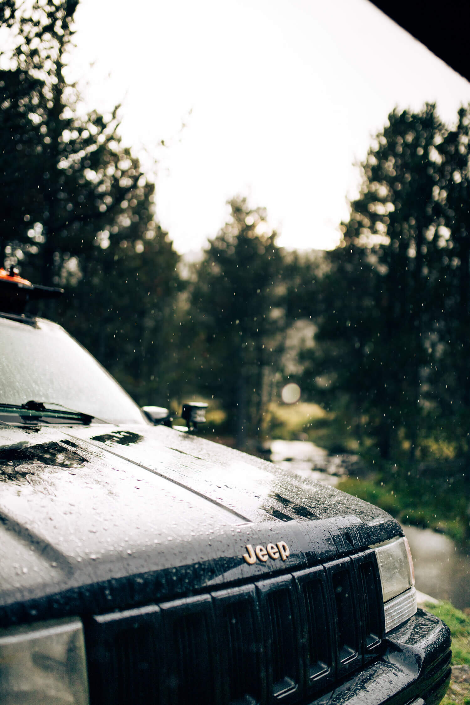Jeep sous la pluie avec des arbres à l'arrière-plan.