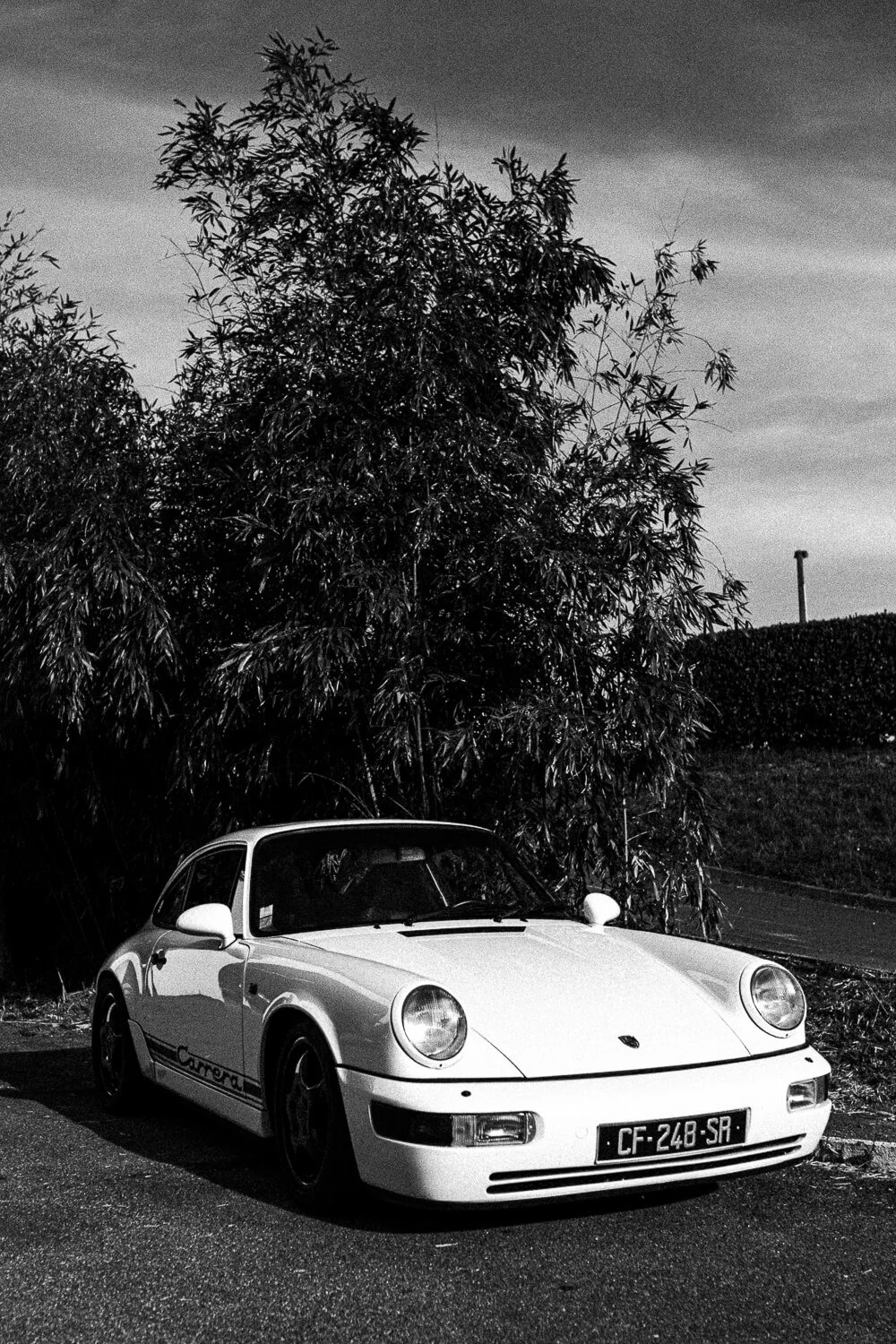 A classic white Porsche Carrera parked on the side of the road in front of a large tree, black and white photography.