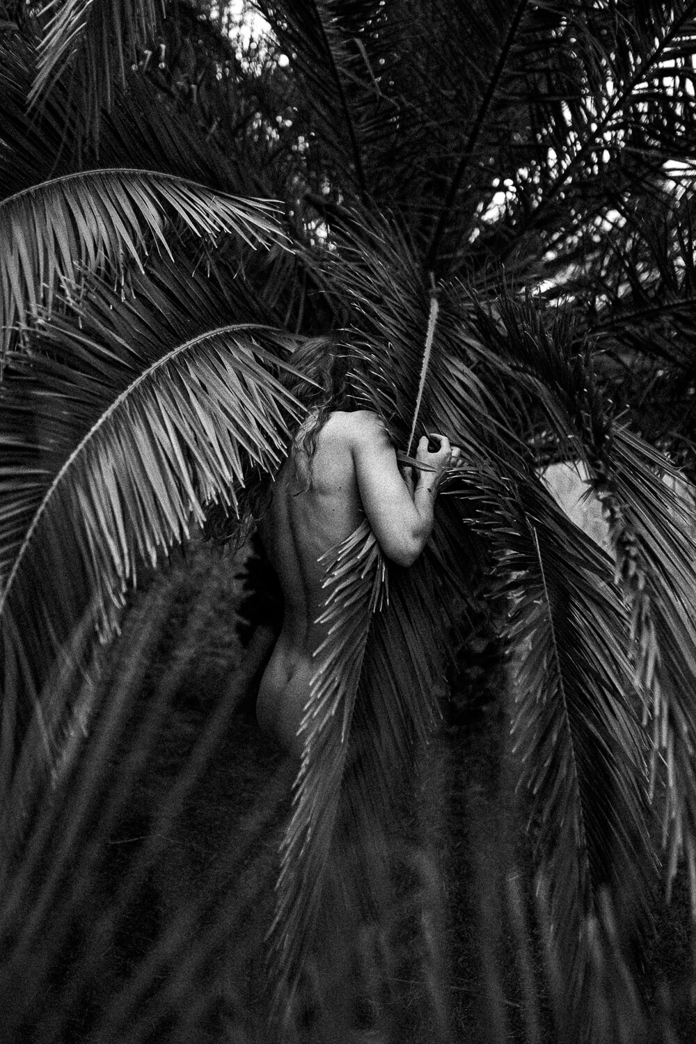A black and white photograph of a topless woman with long hair, partially obscured by large palm leaves, in a tropical setting.
