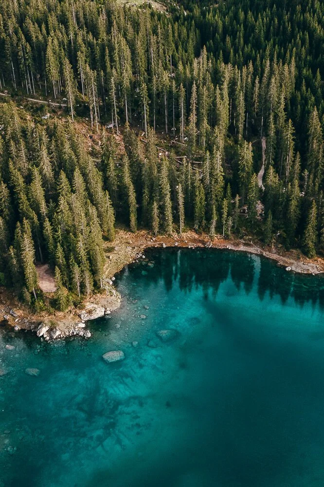 Aerial view of a forested area next to a clear blue lake with rocky shoreline.