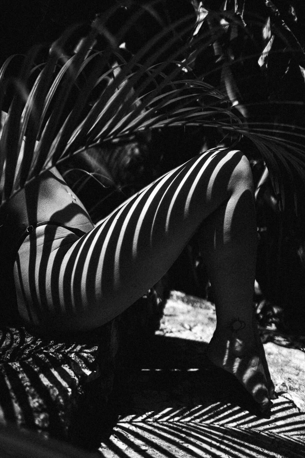 Black and white photo of a person in striped clothing sitting on a bench surrounded by palm leaves, with shadows creating striped patterns on their body and the ground.