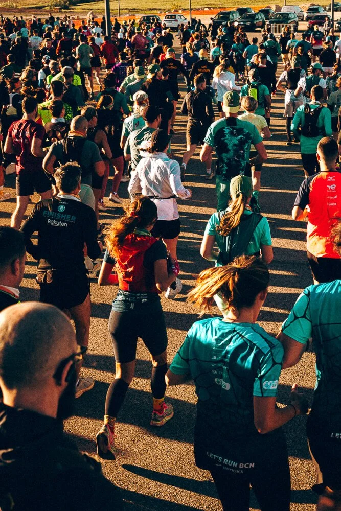 A large group of people participating in an outdoor run or marathon, walking on a paved road with parked cars and a grassy field in the background during sunset.