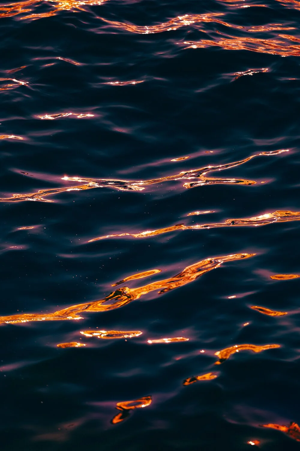 The image shows a close-up view of dark ocean water with sunlight reflecting off the surface, creating shimmering golden highlights.