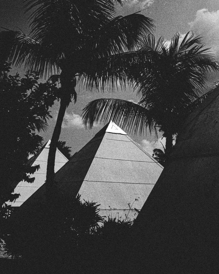 Silhouettes de palmiers devant des pyramides en acier sous un ciel nuageux.