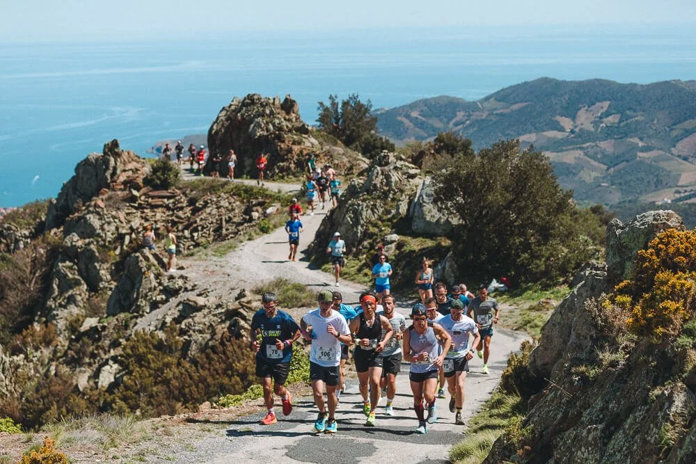 A group of runners participating in a race on a mountain trail with scenic views of hills and the ocean in the background.