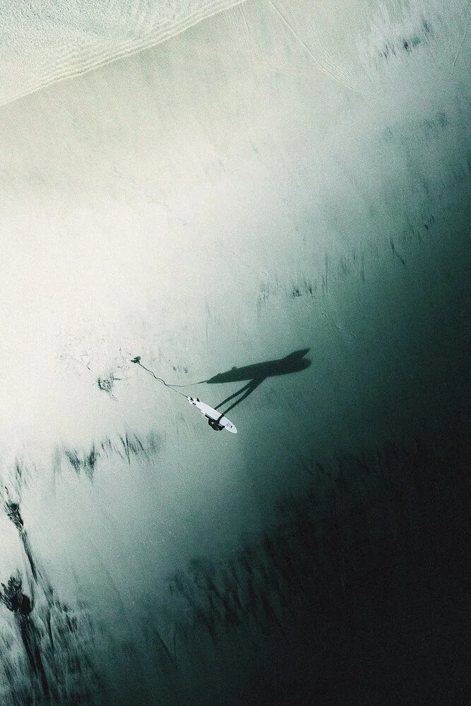 Shark-shaped drone flying over water, casting a shadow, with reflections of trees and plants on the surface.