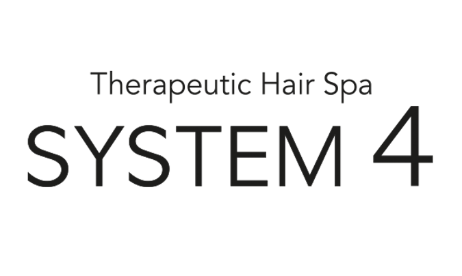 System 4.png