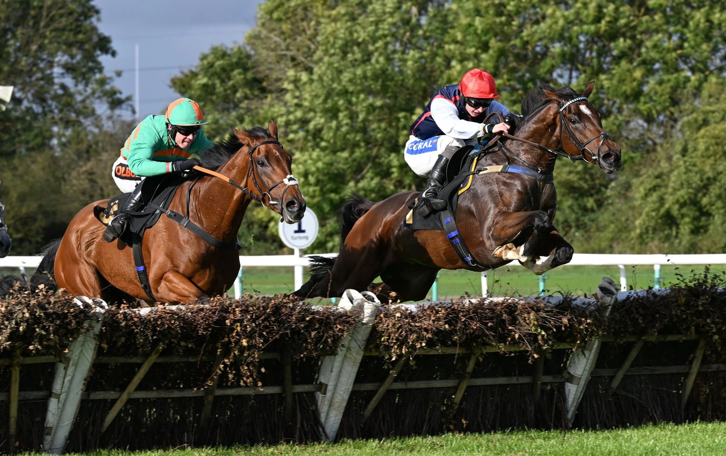 081024-096 Ballytechno_01.JPG