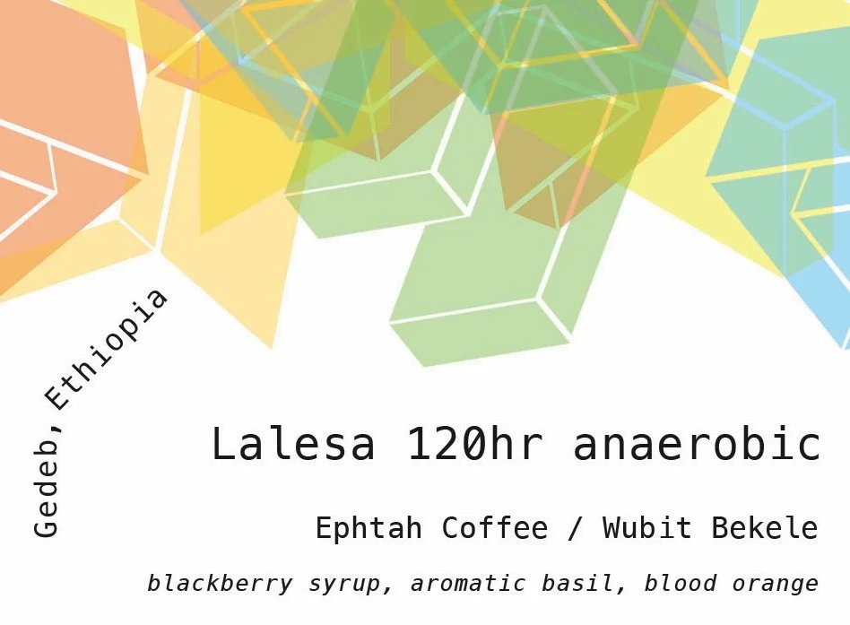 Lalesa, 120hr anaerobic