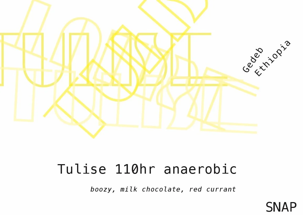 Tulise 110hr.jpg
