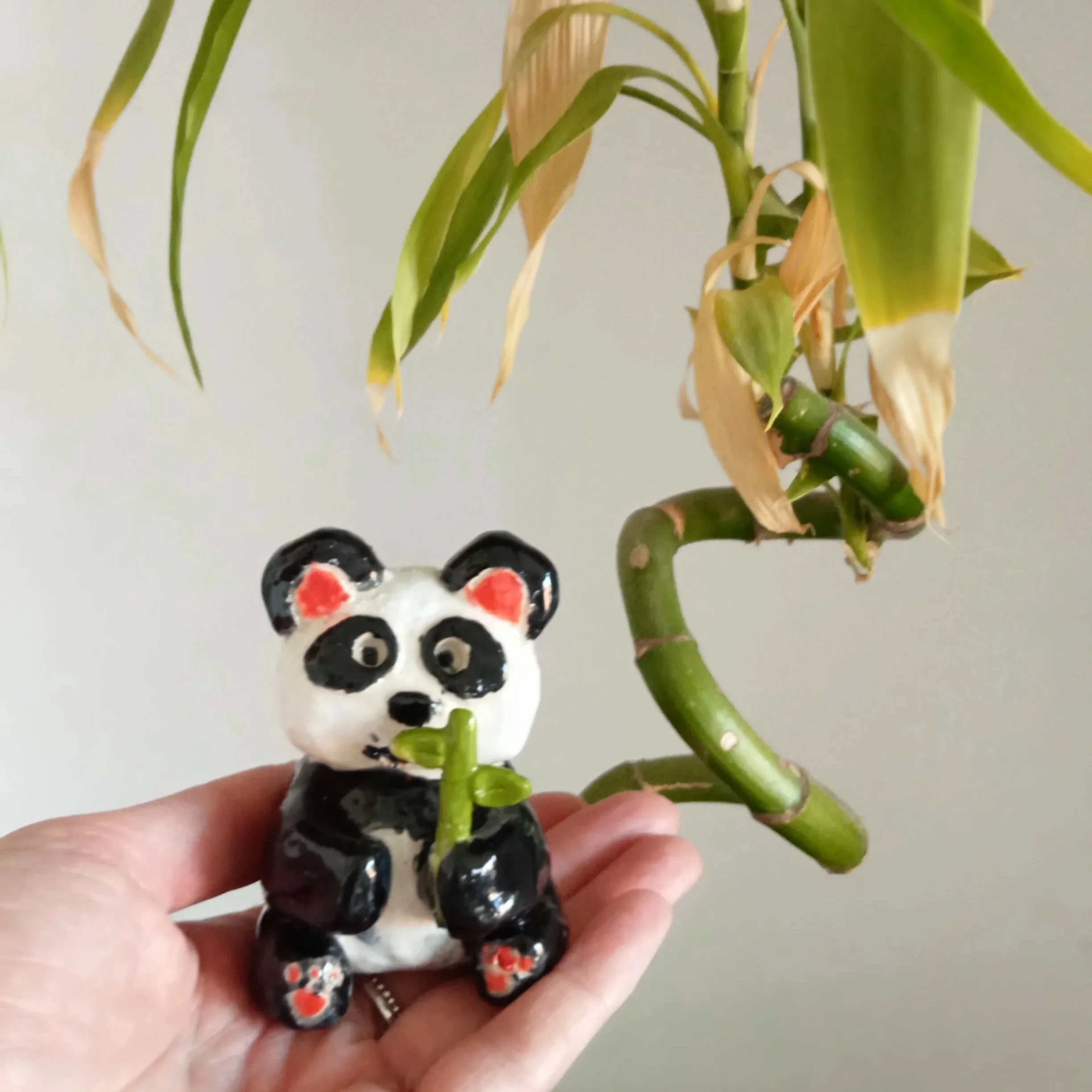 home+ed+panda.jpg