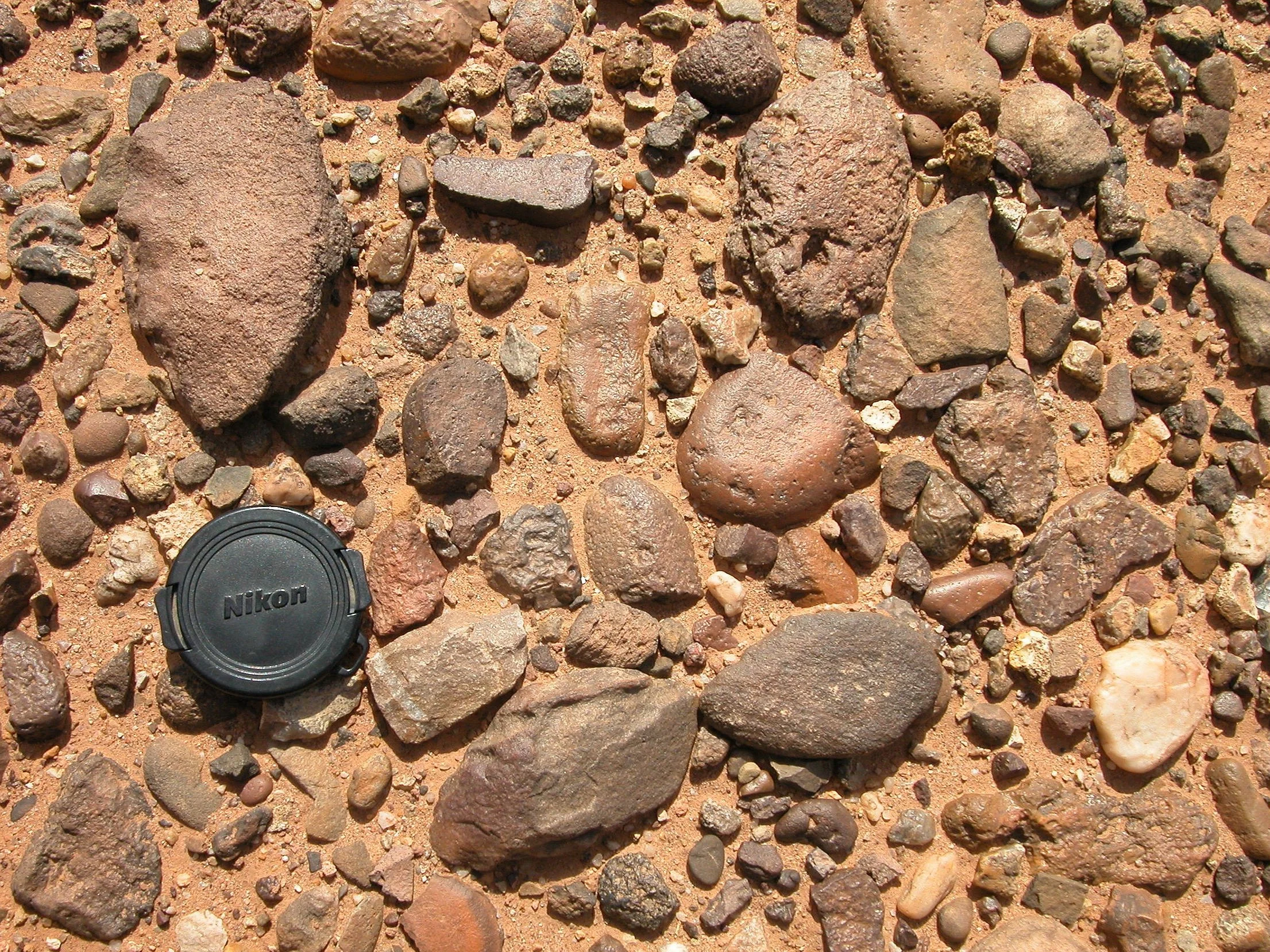 DSCN5844.jpg