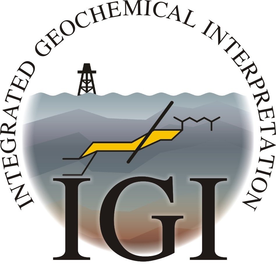 IGI logo small.jpg