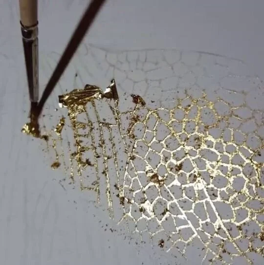 Shadowscapes - Stephanie Pui-Mun Law.jpeg