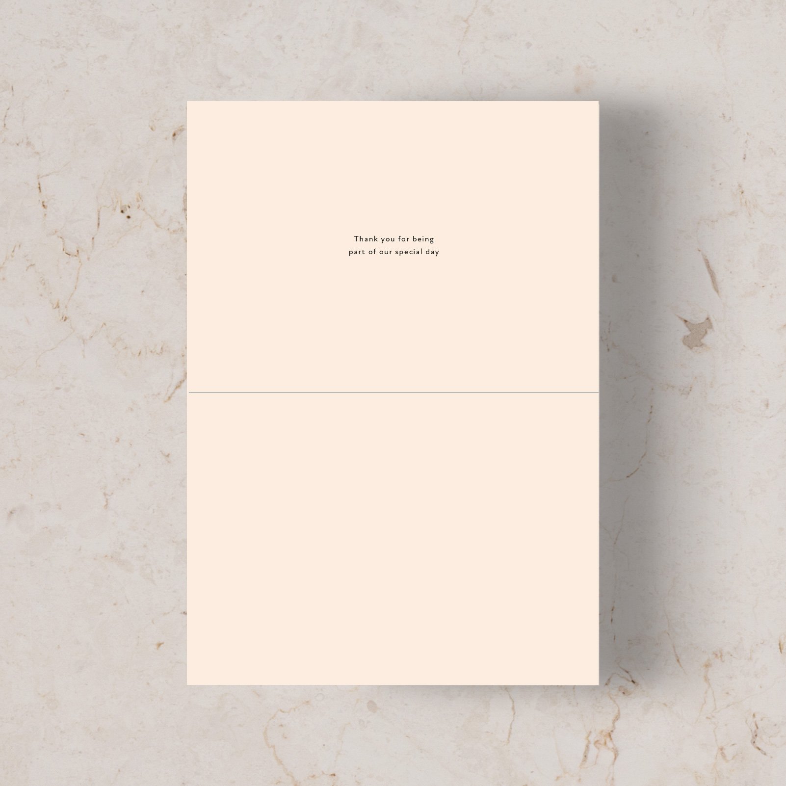 LastColourDown_FirstLook_TYcard_A6folded_Inside.jpg