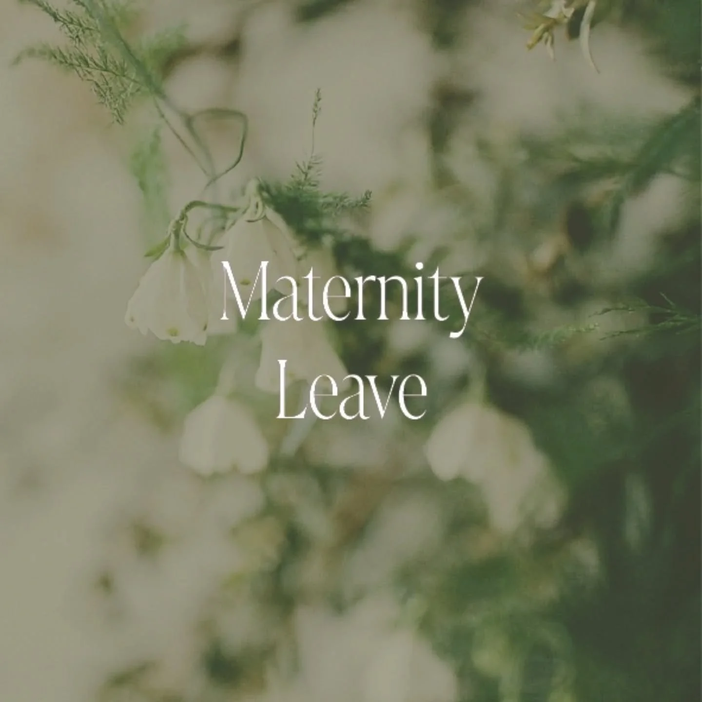 I&rsquo;m delighted to announce that there will be another tiny member joining the Last Colour Down team early next year! I feel absolutely over the moon to finally be able to share this with you, after a tough time earlier this year.

This means tha
