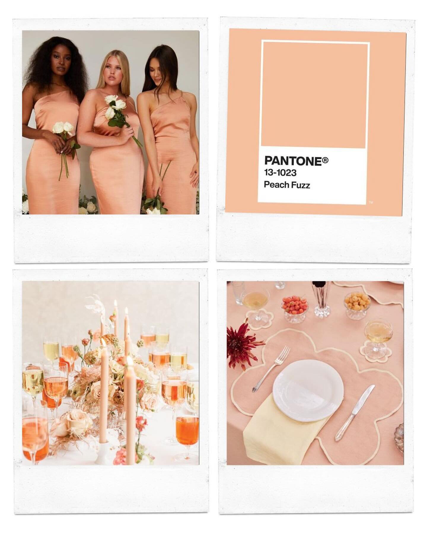 Looking for some inspo for your big day based on 2024&rsquo;s wedding trends? Swipe to see some of our faves ❤️&zwj;🔥&rarr;

✨ Peach Fuzz (Pantone Color of the Year): Warm up your wedding palette with the trendiest colour of 2024, &ldquo;Peach Fuzz&