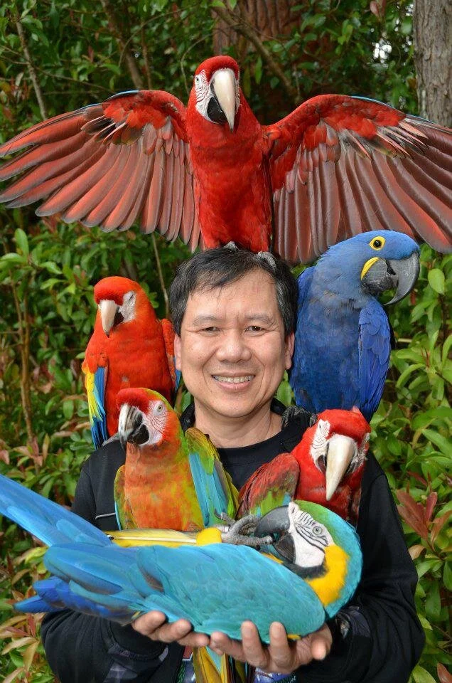 facebook profile pic with parrots.jpeg