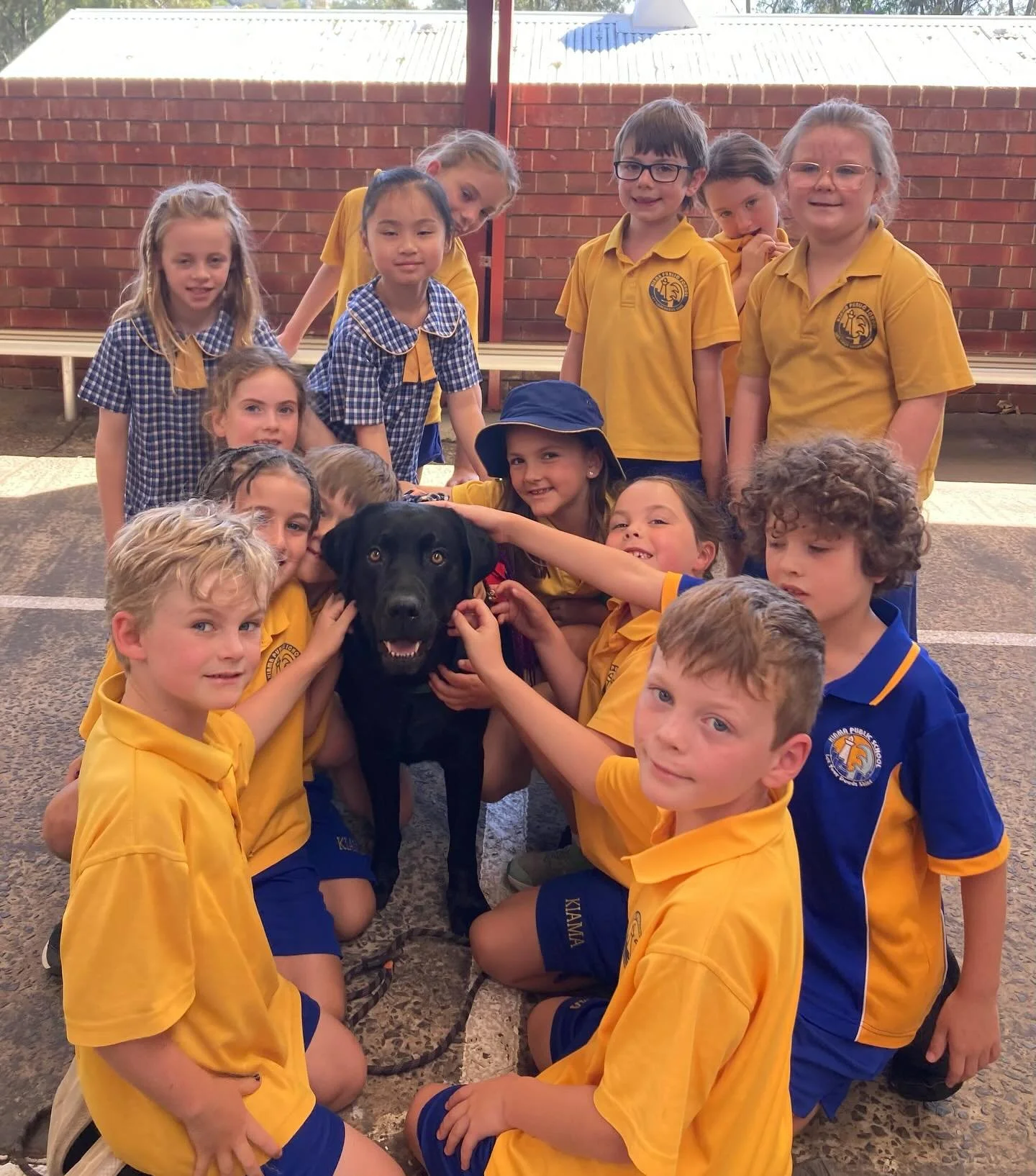 I am SO happy to report that Hamish has found the best home !!! He is back down south where his allergies are much easier to manage, and he has improved so much already 🥰🥰 He lives with a wonderful family who run a mindful, adventure-based family d