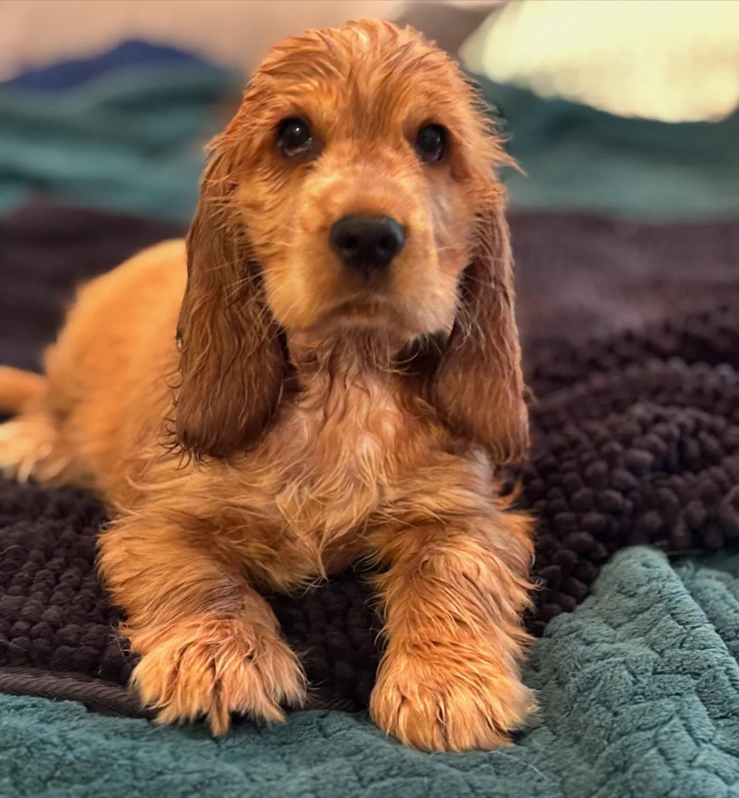 Bye bye Mr Rainbow !! The only boy in a sea of sisters 🥰🥰