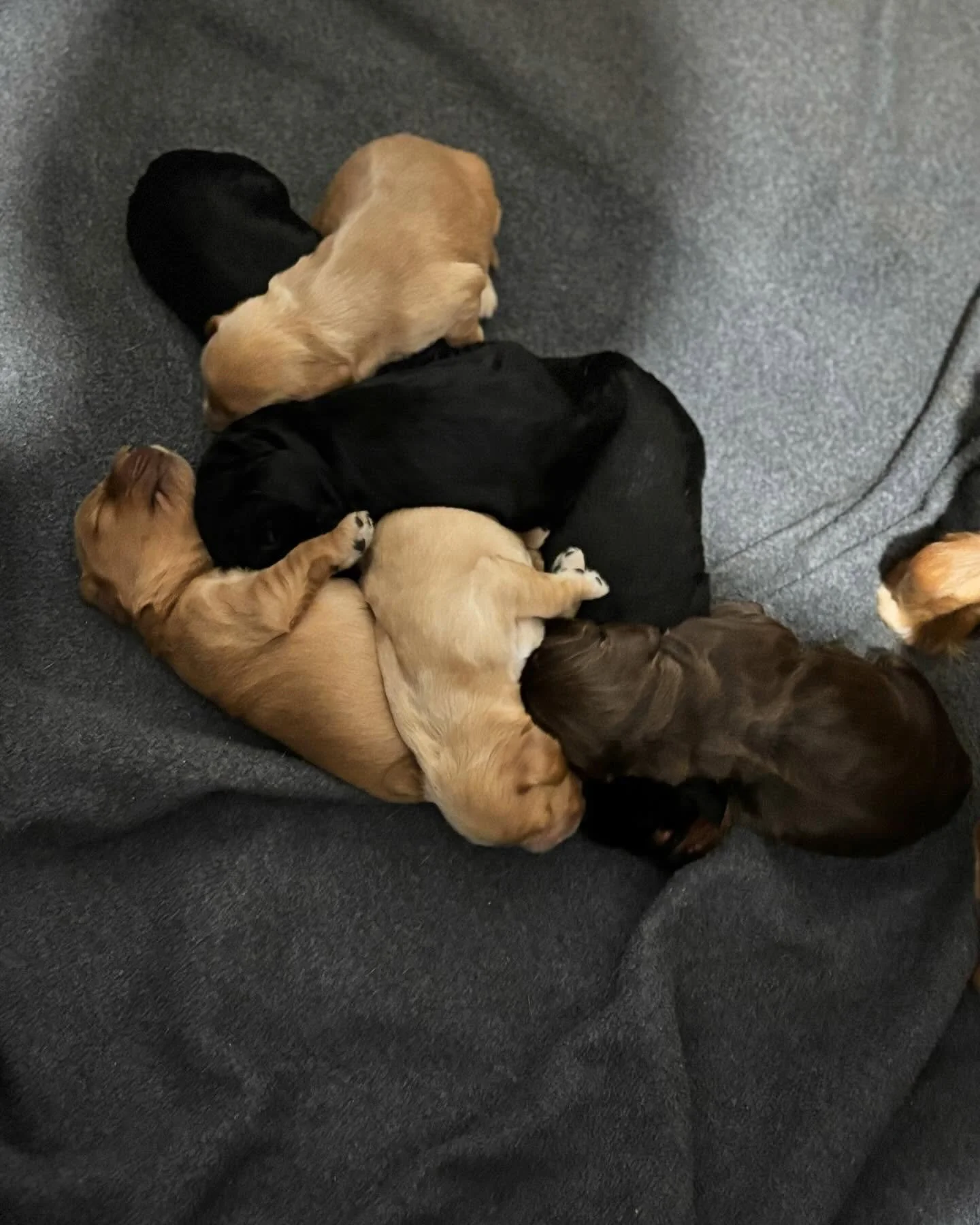 Hard to tell where one ends and another begins ! 🥰