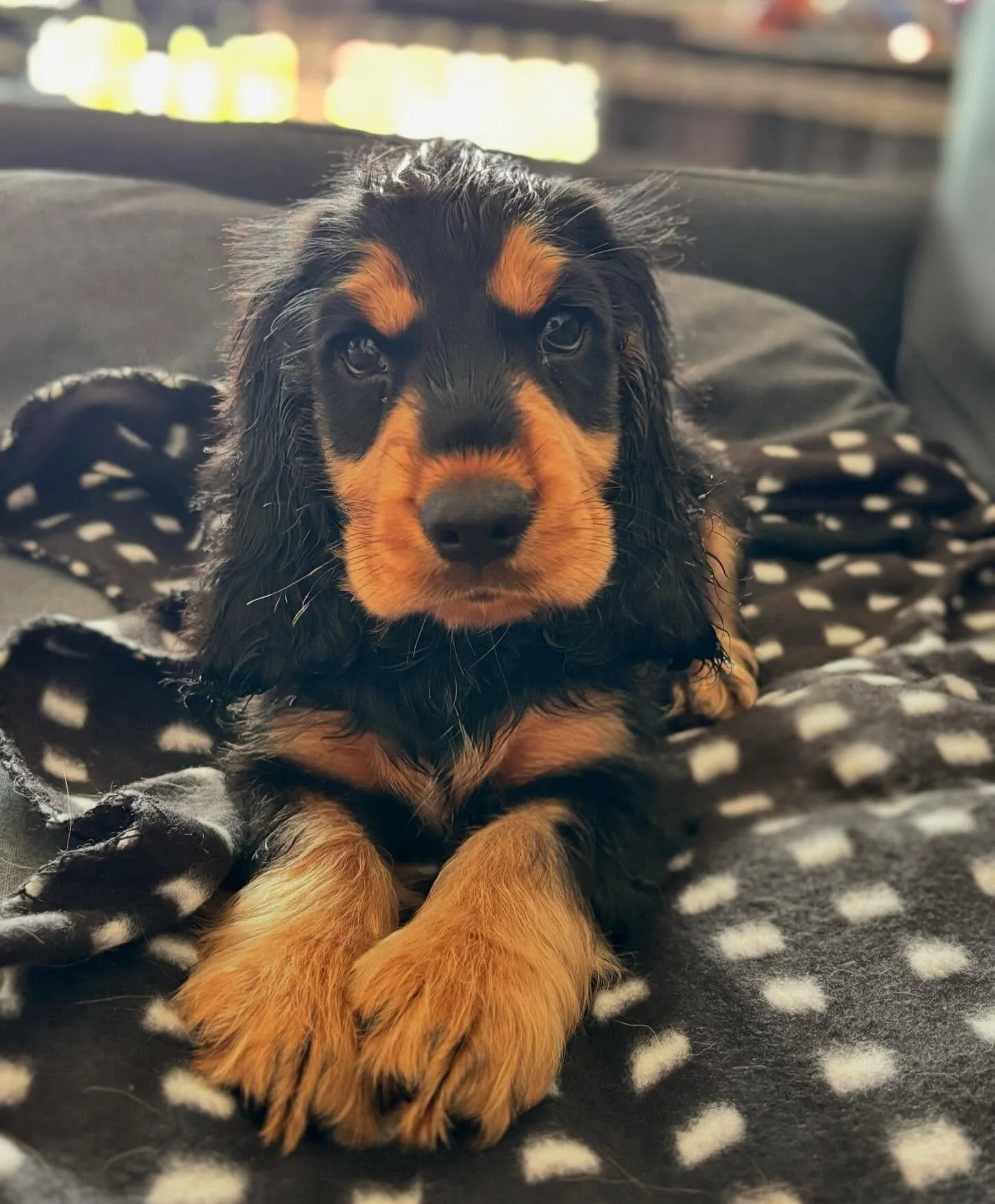 Bye bye, Artie ! Wishing you all the best !! 🥰🥰