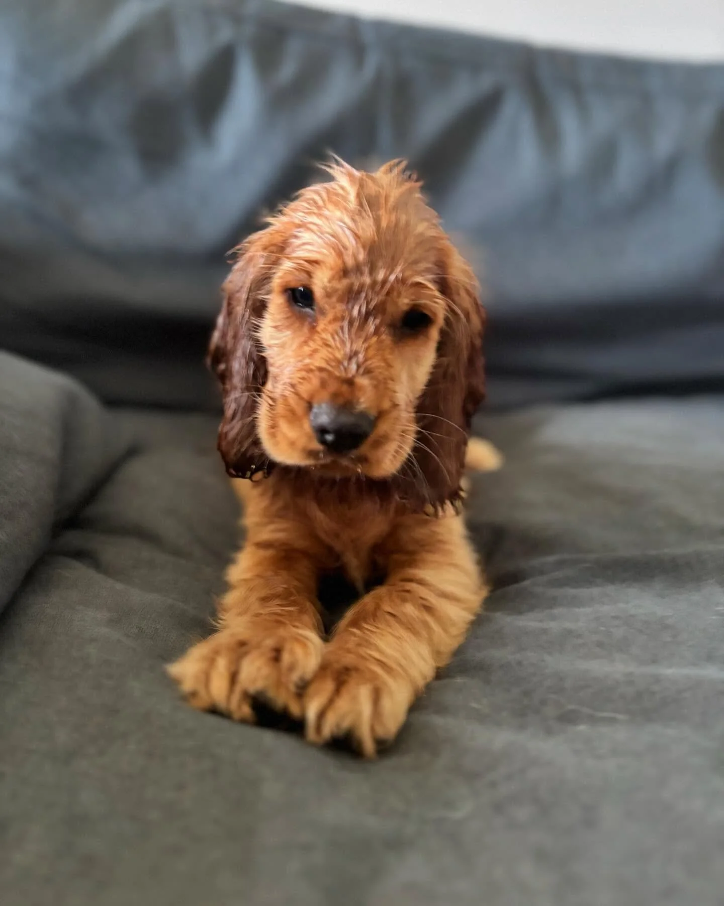 Bye bye Oakley 🥰🥰