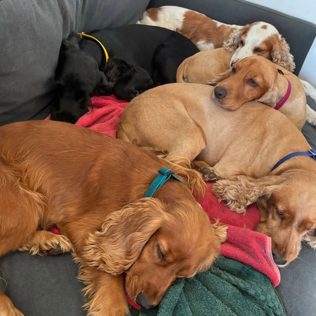 Little devils 🫣😍🥰