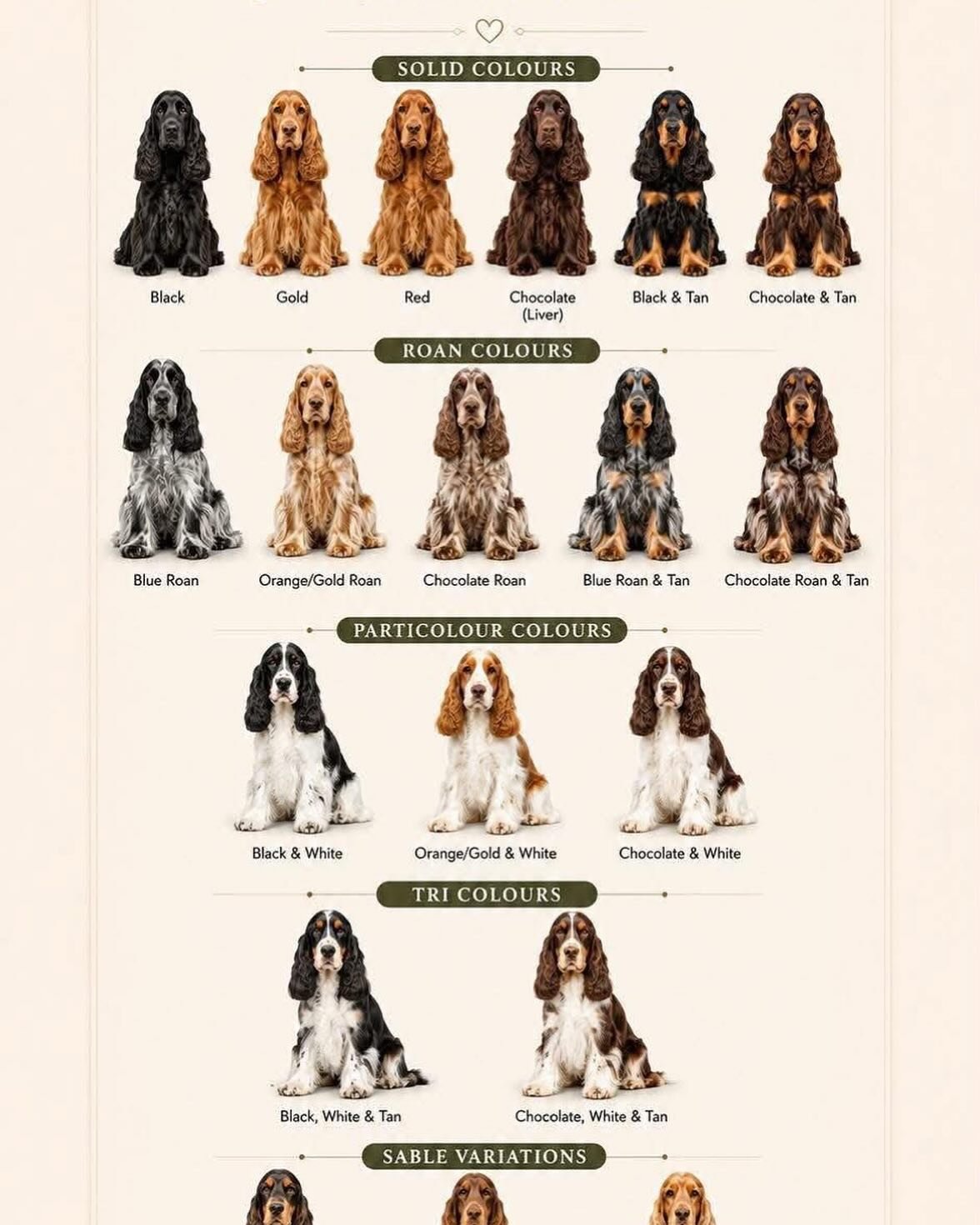 One of each please 🥰

Source: https://www.instagram.com/reel/DYThkazNaNe/?igsh=aGRzcDJsMTZ3NG13