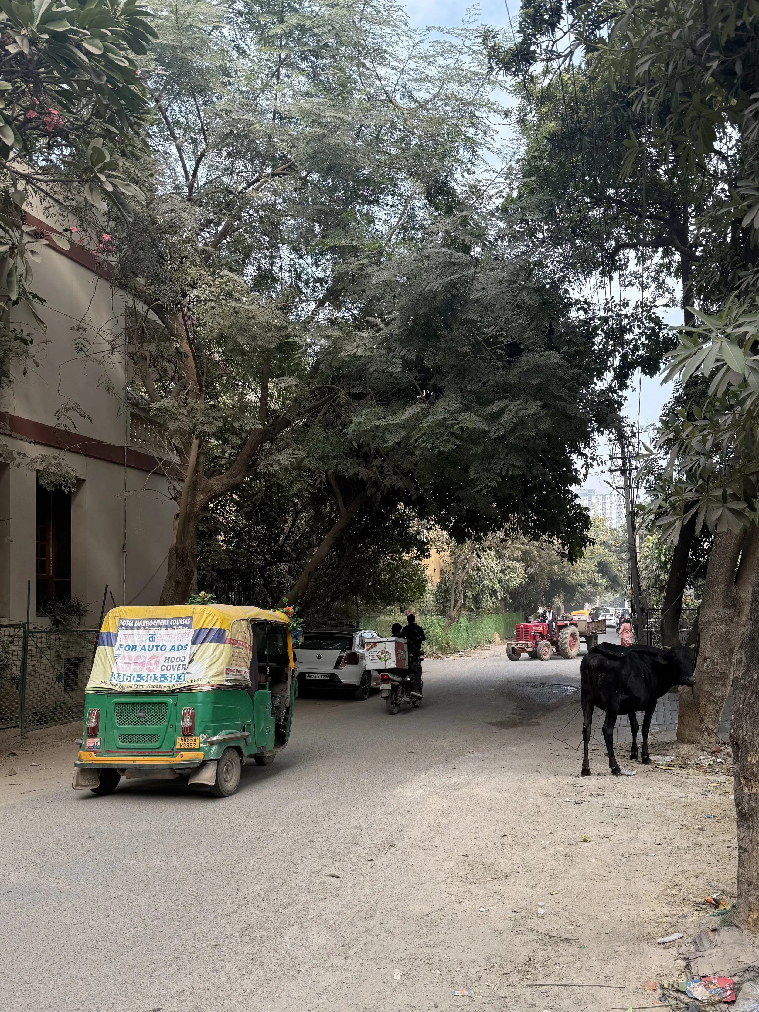 Tasting event in Delhi,India