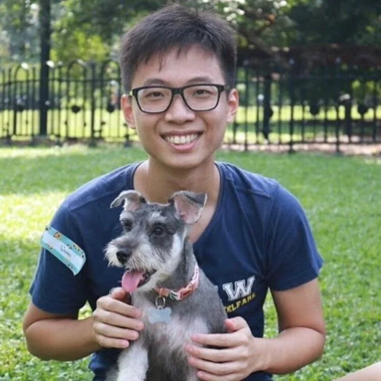 Sean Foo, Senior Auditor at Deloitte