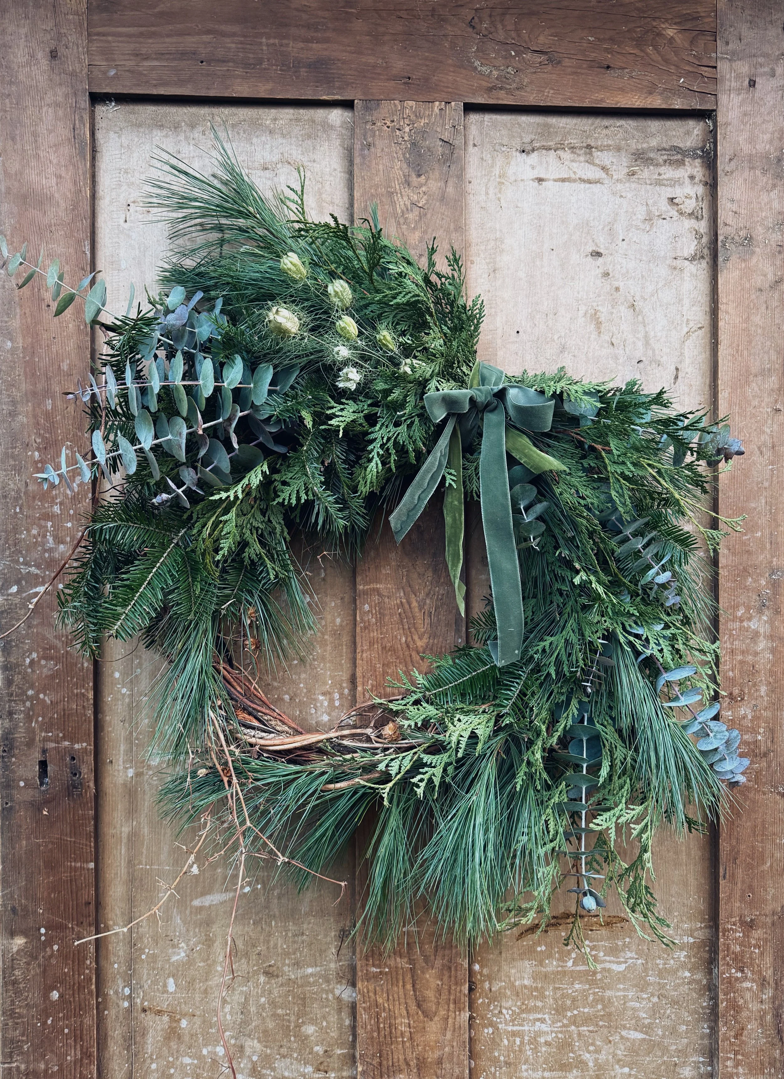 courone eucalyptus.jpg