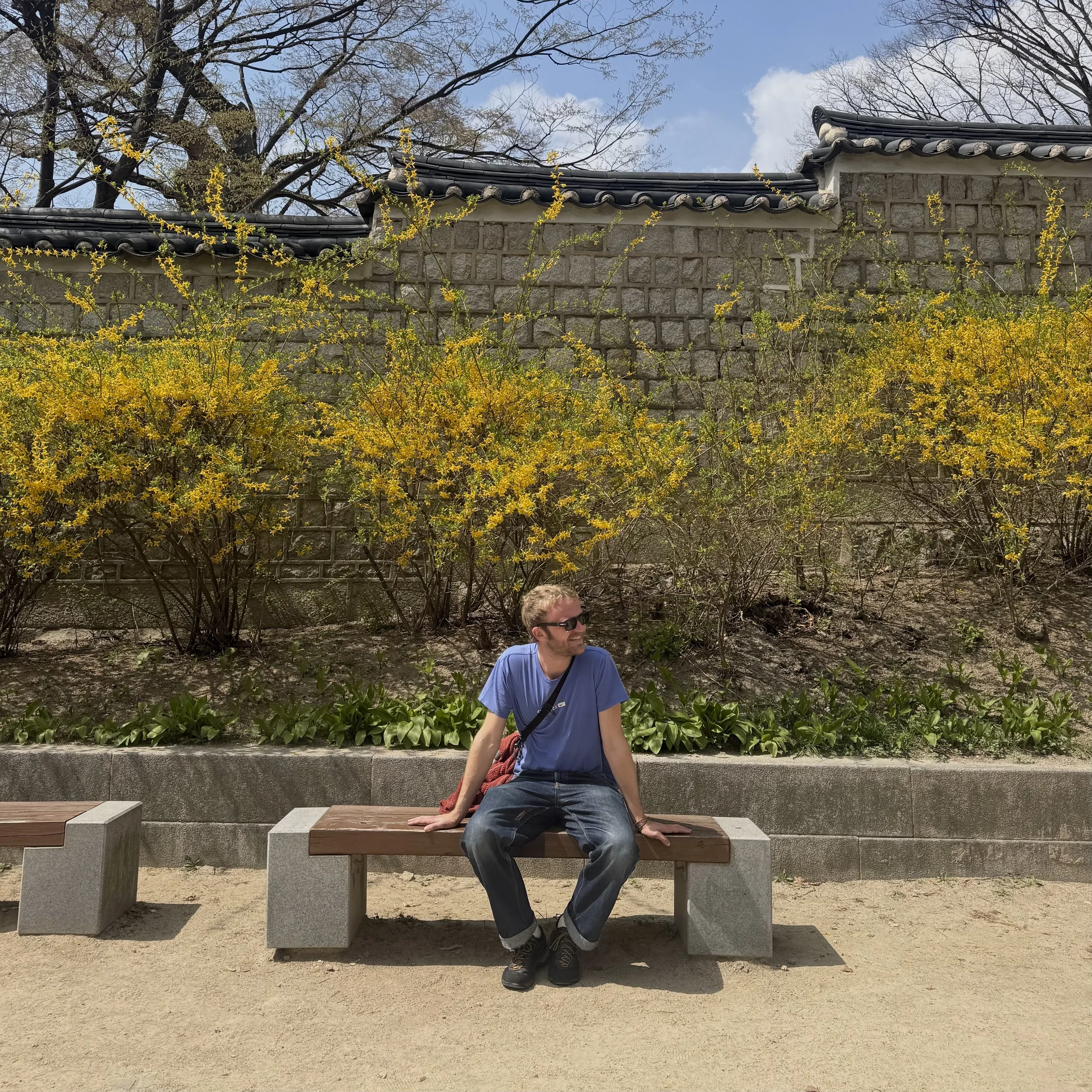 IMG_6694.jpeg