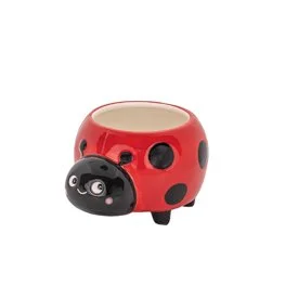 Ladybird Mini Planter