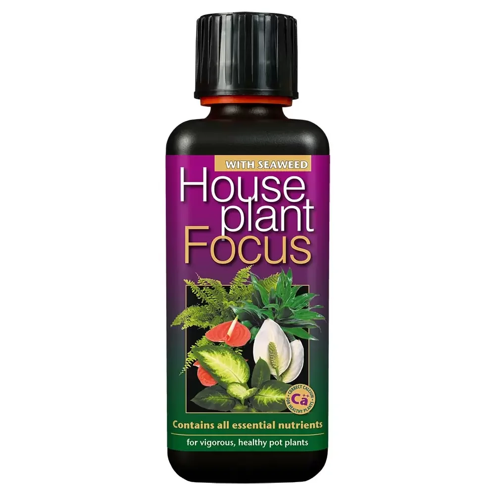house-plant-focus-indoor-houseplant-food-1000x1000-61e192cc3c3b0_src.webp