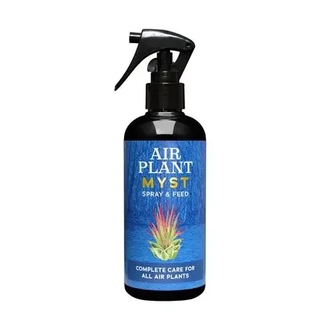 Air Plant Myst