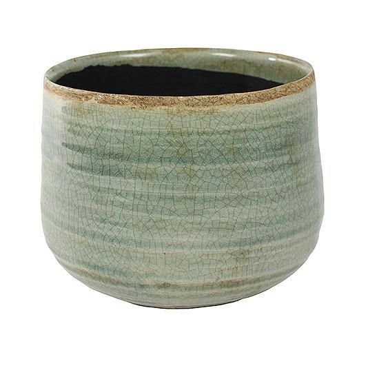 Pot Iris Mint.jpg