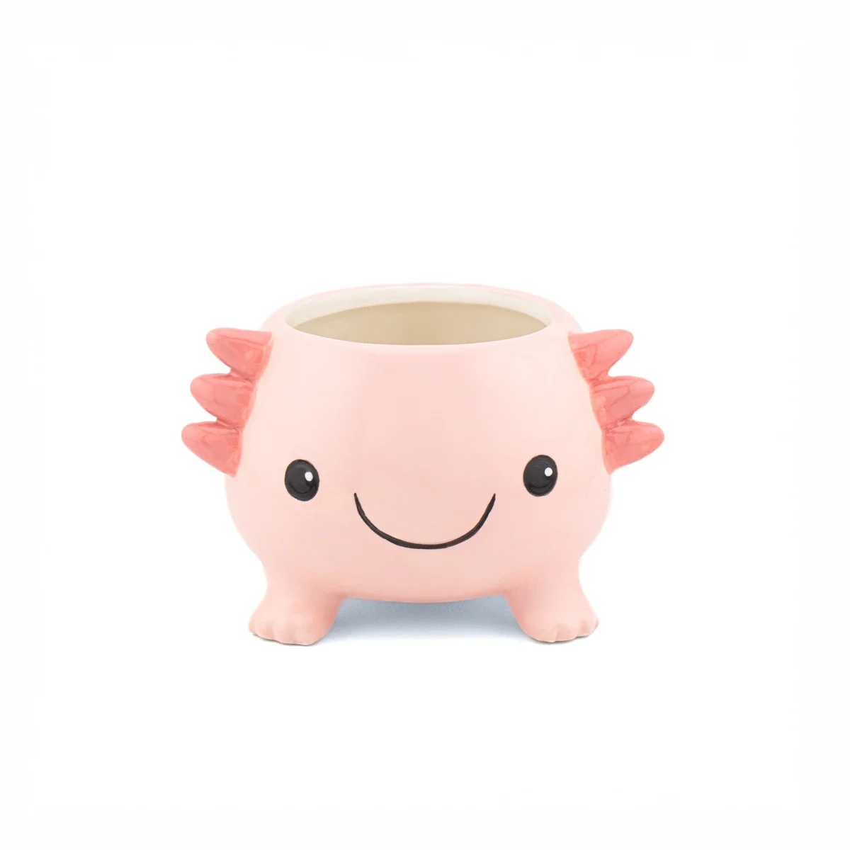 Axolotl Mini Planter